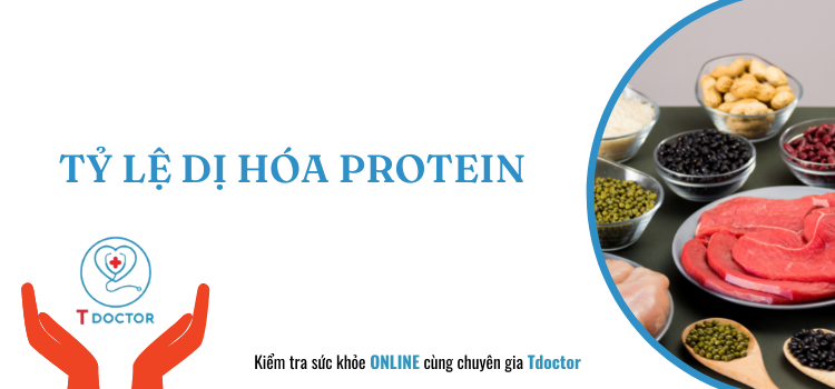 Đánh giá tỷ lệ dị hóa protein| Kiểm tra sức khỏe online